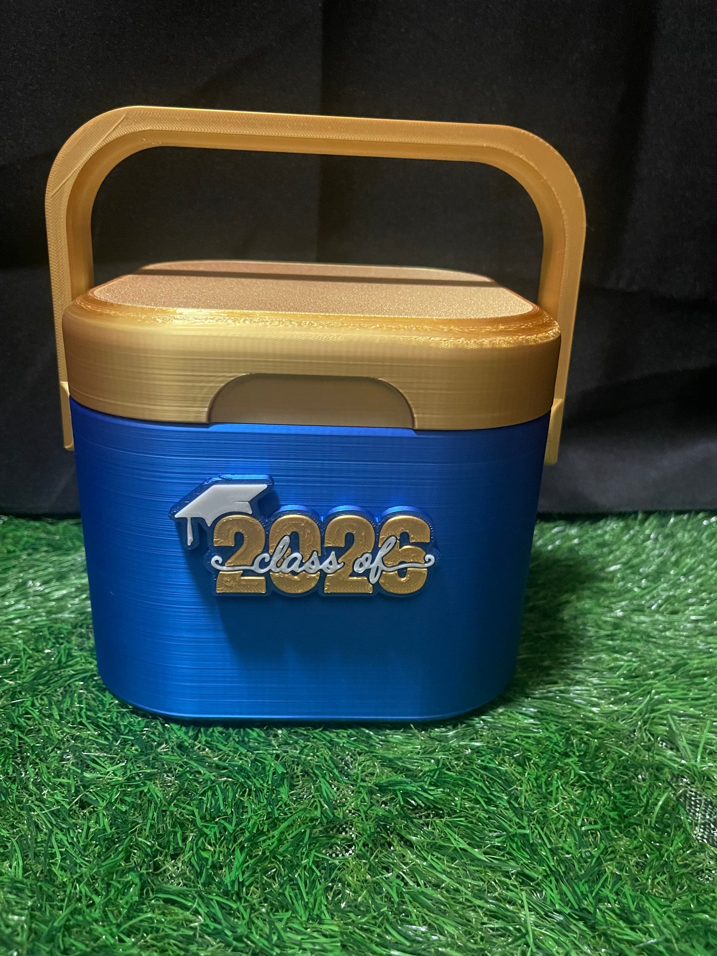 MINI SWAG ICE CHEST ONLY!
